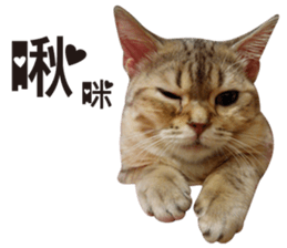 Milk Tea 2 sticker #14348149