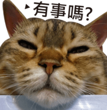 Milk Tea 2 sticker #14348151