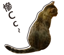 Milk Tea 2 sticker #14348155