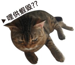 Milk Tea 2 sticker #14348163