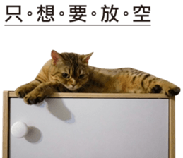 Milk Tea 2 sticker #14348164