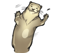 My Otter! sticker #14349157
