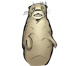 My Otter! sticker #14349169