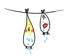 cockatiel and Java sparrow2(surreal) sticker #14350389