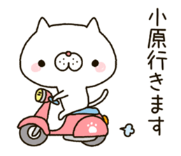 ohara's Sticker sticker #14350622