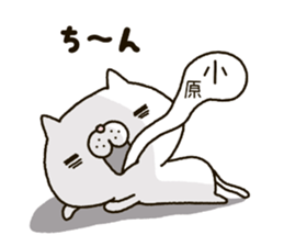 ohara's Sticker sticker #14350629