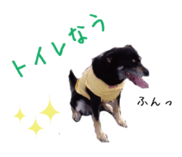 komame MongrelDog sticker #14351545
