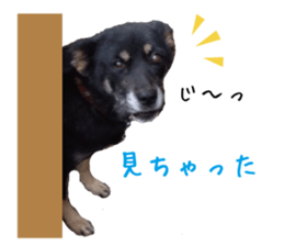komame MongrelDog sticker #14351546