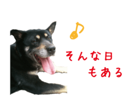 komame MongrelDog sticker #14351547