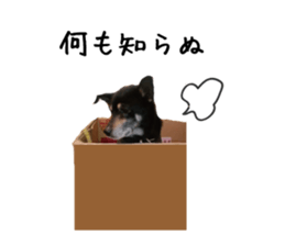 komame MongrelDog sticker #14351549