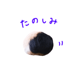 guinea pig Fuku's sticker ver.2 sticker #14351662