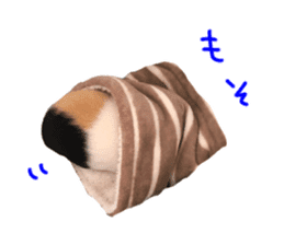 guinea pig Fuku's sticker ver.2 sticker #14351675