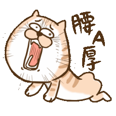 Small bad cat got move 2