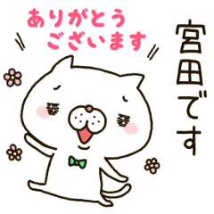 Miyata Nyanko's Sticker