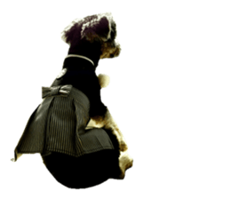 Yorkshire terrier ninja sticker #14353878