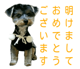 Yorkshire terrier ninja sticker #14353883