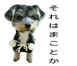 Yorkshire terrier ninja sticker #14353887