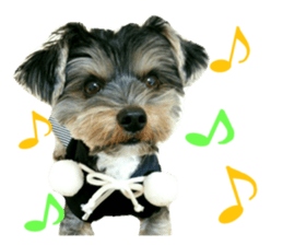 Yorkshire terrier ninja sticker #14353892