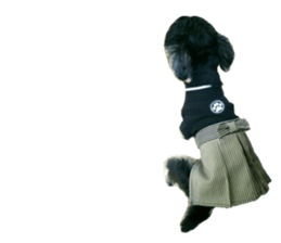 Yorkshire terrier ninja sticker #14353893