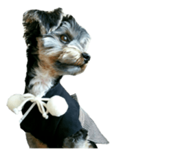 Yorkshire terrier ninja sticker #14353901