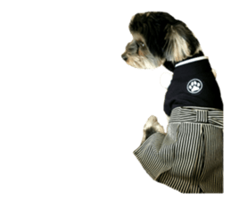 Yorkshire terrier ninja sticker #14353903