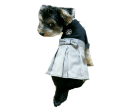 Yorkshire terrier ninja sticker #14353912