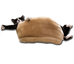 Howl4 sticker #14354303