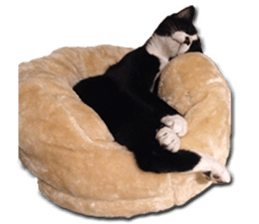 Howl4 sticker #14354305