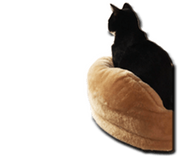 Howl4 sticker #14354309