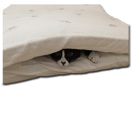 Howl4 sticker #14354311