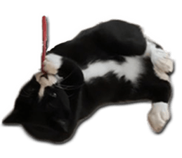 Howl4 sticker #14354312