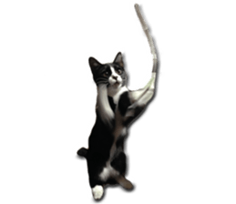 Howl4 sticker #14354313