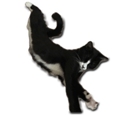 Howl4 sticker #14354320