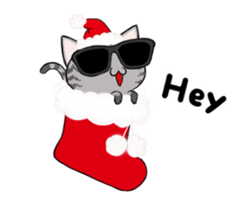 Sunglasses cat Ashver kitten Winter life sticker #14354702