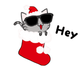 Sunglasses cat Ashver kitten Winter life sticker #14354702