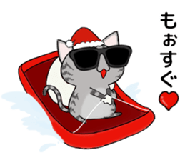 Sunglasses cat Ashver kitten Winter life sticker #14354703