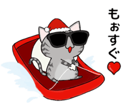 Sunglasses cat Ashver kitten Winter life sticker #14354703