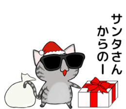 Sunglasses cat Ashver kitten Winter life sticker #14354704