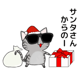 Sunglasses cat Ashver kitten Winter life sticker #14354704