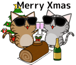Sunglasses cat Ashver kitten Winter life sticker #14354706