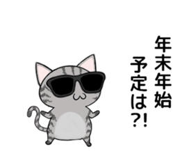 Sunglasses cat Ashver kitten Winter life sticker #14354707