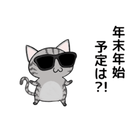 Sunglasses cat Ashver kitten Winter life sticker #14354707