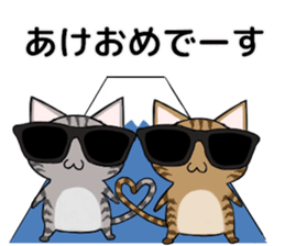 Sunglasses cat Ashver kitten Winter life sticker #14354710