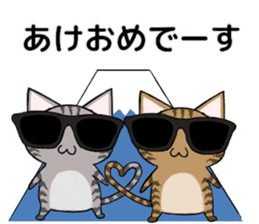 Sunglasses cat Ashver kitten Winter life sticker #14354710