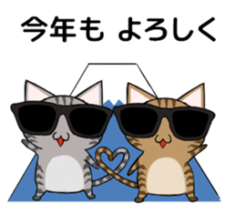 Sunglasses cat Ashver kitten Winter life sticker #14354711