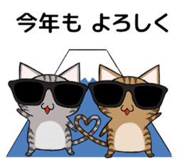 Sunglasses cat Ashver kitten Winter life sticker #14354711