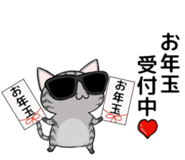 Sunglasses cat Ashver kitten Winter life sticker #14354714