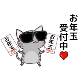 Sunglasses cat Ashver kitten Winter life sticker #14354714