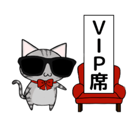 Sunglasses cat Ashver kitten Winter life sticker #14354715