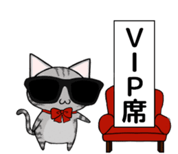 Sunglasses cat Ashver kitten Winter life sticker #14354715
